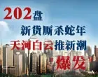 ����¥��2013���»�