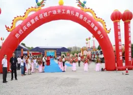 重庆佳程广场落户蔡家奠基仪式