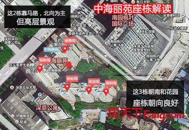 中海丽苑小区:南山地段,林荫小道别有悠然的住家体验