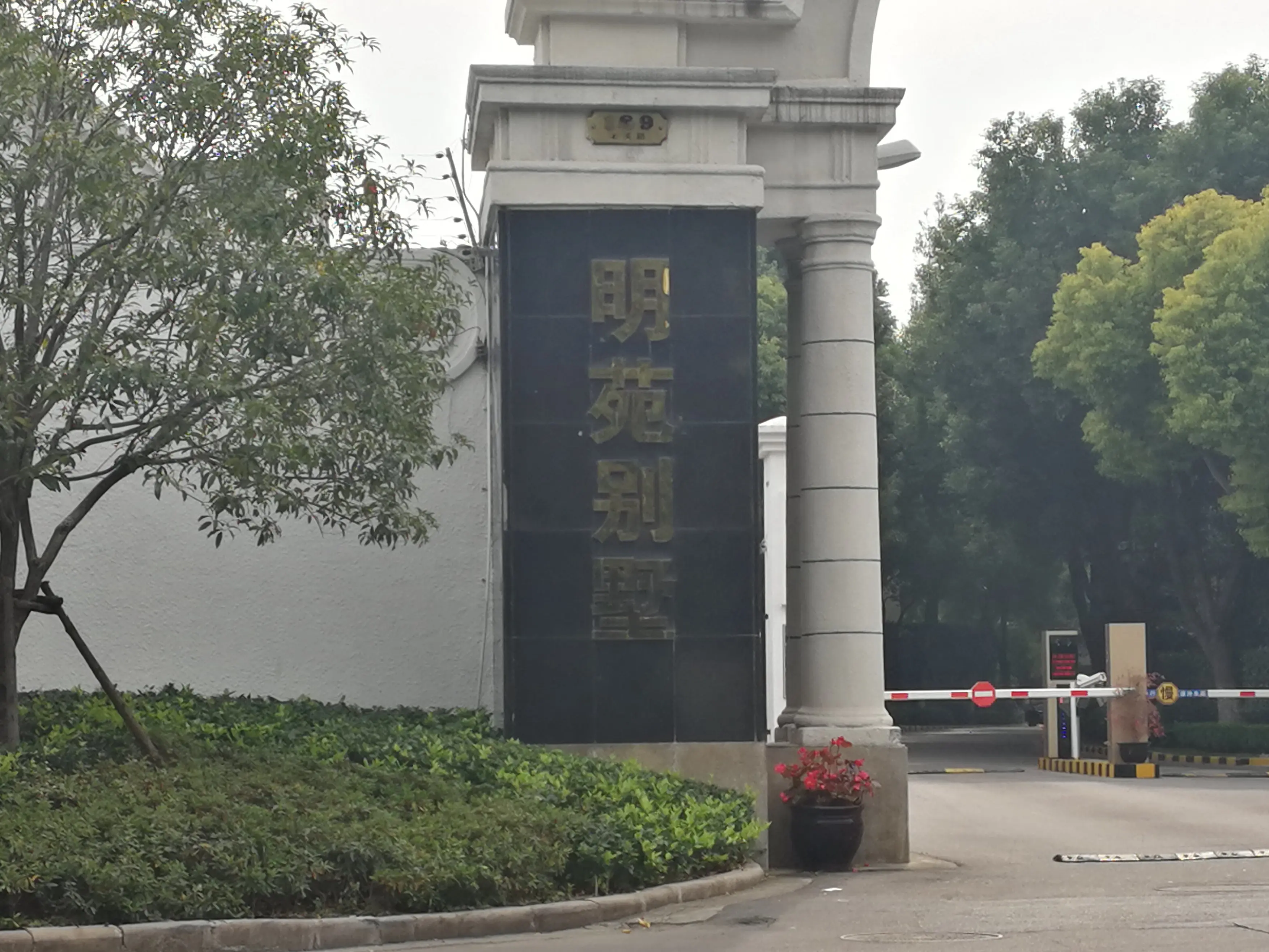 111.jpg