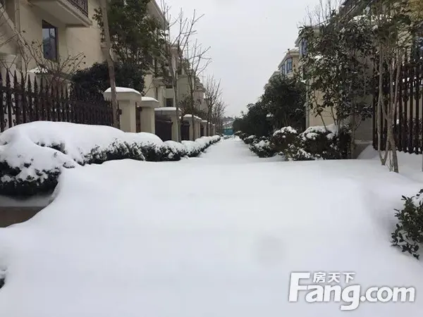 南湖燕园