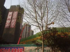 今天好大雨,想起昨天路过<em>新竹</em>路,拍的商业,已经