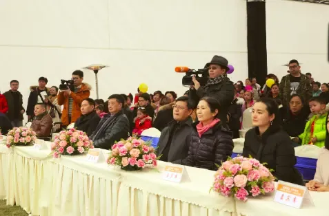 (来自各机构,高校的业内专家坐镇评委席.