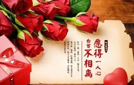 愿得一人心白首不相离