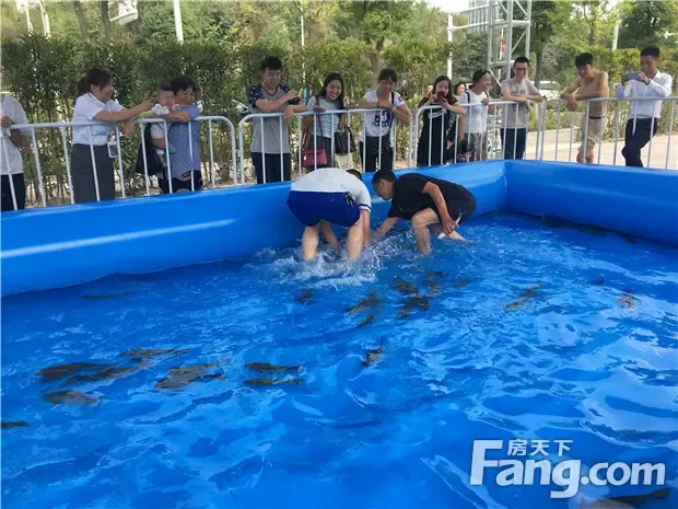 清凉一夏鱼乐无穷林达大院捕鱼大赛29日清