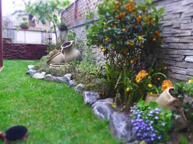 晒晒我家40平小庭院,喝茶赏花岁月静好,邻居都后悔没有要这套